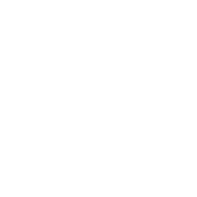 Logo Bravo Energia